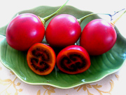 Тамарилло или плоды томатного дерева