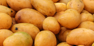 Выставка манго (Expo Mango)